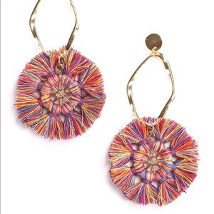 NEW Eye candy multicolor fringe earrings